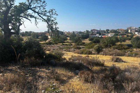 5017m² Land en Ypsonas, Cyprus No. 75730 3