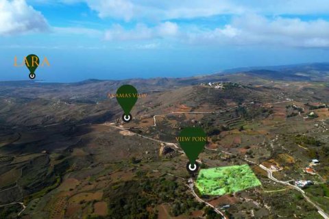 13041m² Land en Ineia, Cyprus No. 75732 3