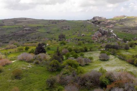 13041m² Land en Ineia, Cyprus No. 75732 2