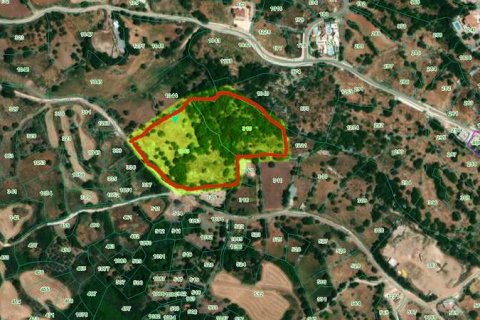 13041m² Land en Ineia, Cyprus No. 75732 4