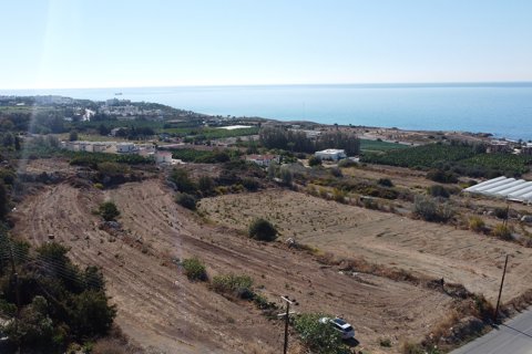 4 dormitorios Villa en Kissonerga, Cyprus No. 53242 11