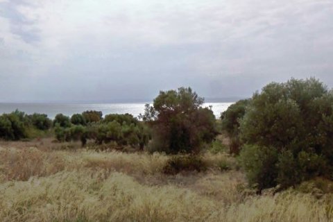 3659m² Land in Polygyros, Greece No. 59280 3