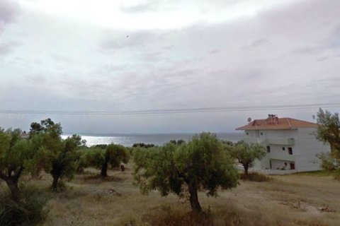 3659m² Land in Polygyros, Greece No. 59280 4