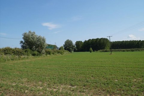 43500m² Land en Litochoro, Greece No. 59275 3