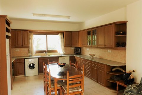 Apartamento tipo estudio Estudio en Paphos, Cyprus No. 51264 9