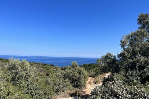 Land in Zakynthos, Greece No. 24759 12