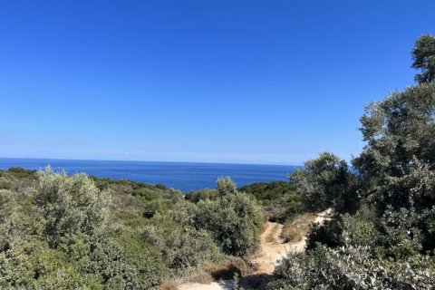 Land in Zakynthos, Greece No. 24759 4