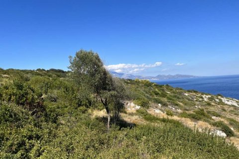 Land in Zakynthos, Greece No. 24759 20