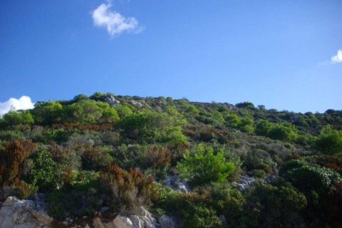 Land in Zakynthos, Greece No. 24720 4