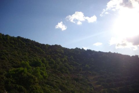 Land in Zakynthos, Greece No. 24720 13