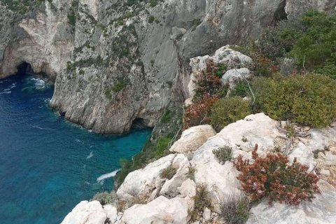 Land à Zakynthos, Greece No. 24720 15