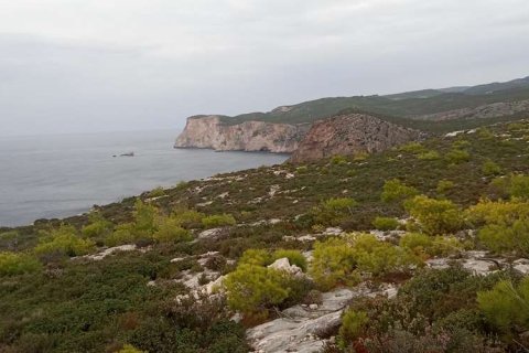 Land in Zakynthos, Greece No. 24720 1