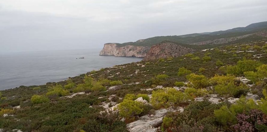 Land en Zakynthos, Greece No. 24720