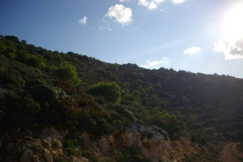 Land en Zakynthos, Greece No. 24720 7