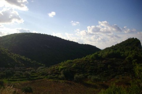 Land in Zakynthos, Greece No. 24720 10