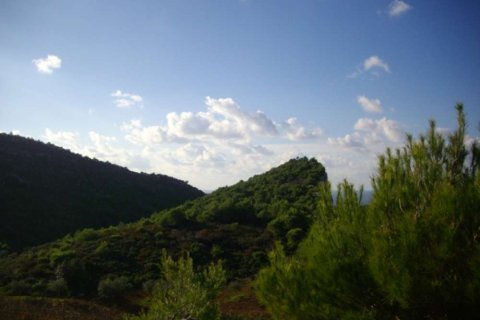 Land in Zakynthos, Greece No. 24720 12