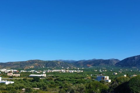 20000m² Land in Lasithi, Greece No. 56376 4