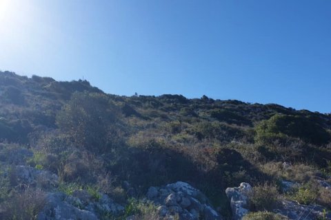 20000m² Land in Lasithi, Greece No. 56376 5