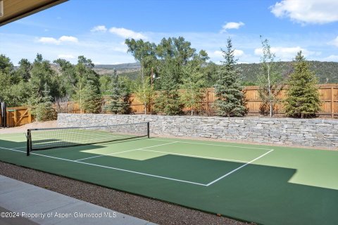 4 chambres House à Basalt, USA No. 62143 28