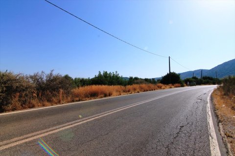 2500m² Land in Lasithi, Greece No. 59500 3