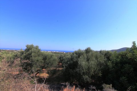 2500m² Land en Lasithi, Greece No. 59500 4