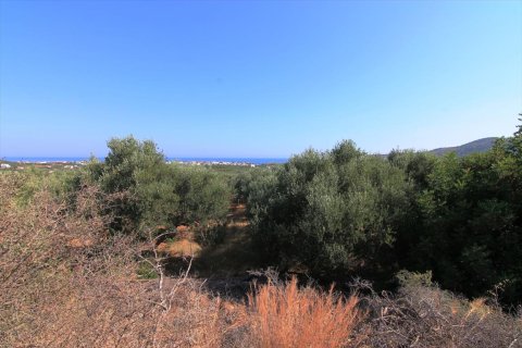 2500m² Land en Lasithi, Greece No. 59500 6