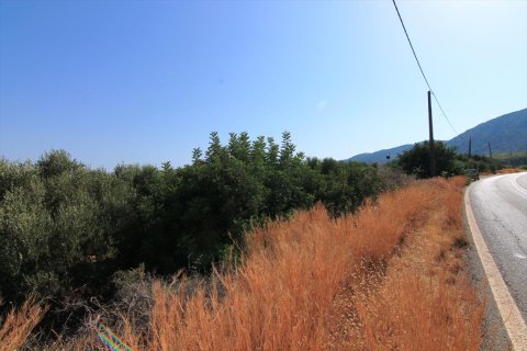 2500m² Land en Lasithi, Greece No. 59500 5