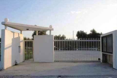 640m² Negocio en Rhodes, Greece No. 59499 11