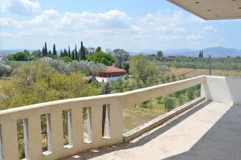 270m² Negocio en Chalcis, Greece No. 59497 4