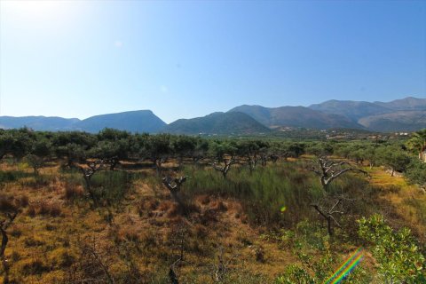 5500m² Land en Lasithi, Greece No. 59501 2