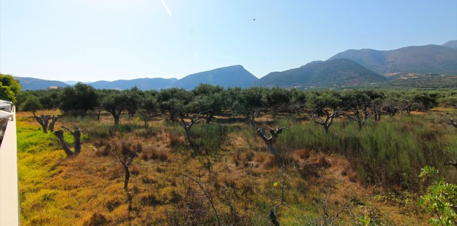 5500m² Land à Lasithi, Greece No. 59501