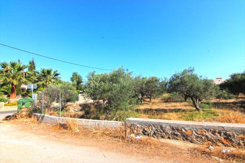 5500m² Land à Lasithi, Greece No. 59501 3