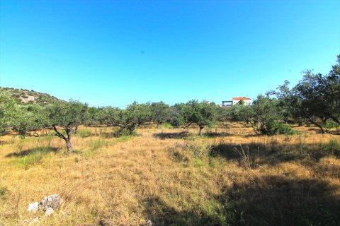 5500m² Land à Lasithi, Greece No. 59501 4