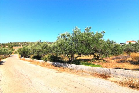 5500m² Land à Lasithi, Greece No. 59501 5