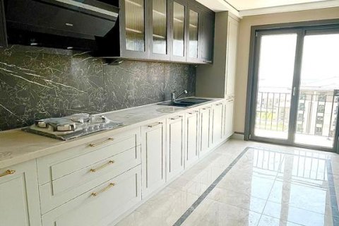 3+1 Apartment in Istanbul, Turkey No. 14763 4