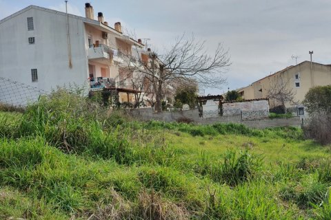 1280m² Land à Chalkidiki, Greece No. 56093 5