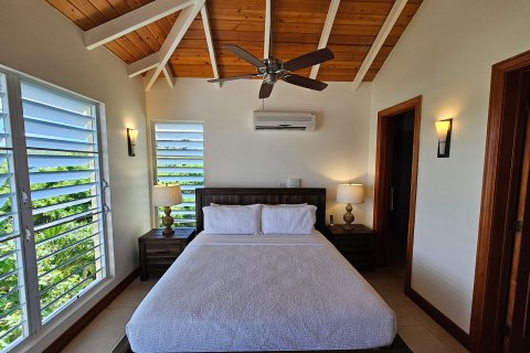 4 bedrooms Villa in Freetown, Antigua and Barbuda No. 61408 12