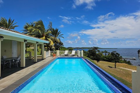 4 chambres Villa à Freetown, Antigua and Barbuda No. 61408 1