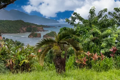 2 chambres Villa à Calibishie, Dominica No. 66234 9