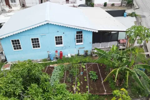 2 dormitorios Commercial property en Portsmouth, Dominica No. 66237 8