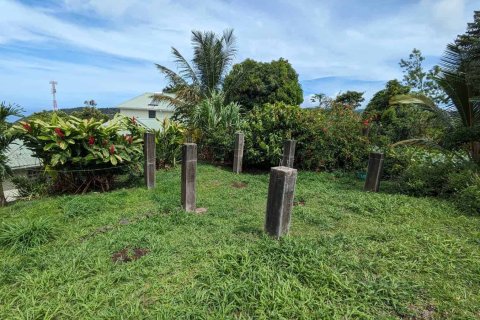 3 chambres Bungalow à Morne Prosper, Dominica No. 66238 26