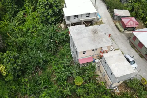 4 dormitorios House en Riviere Cyrique, Dominica No. 66236 6