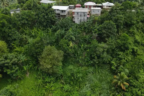 4 chambres House à Riviere Cyrique, Dominica No. 66236 5