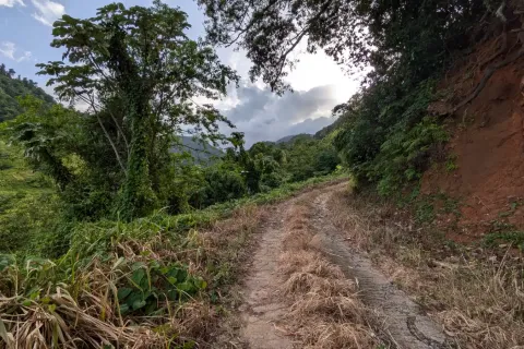 8094m² Land à La Plaine, Dominica No. 66235 25