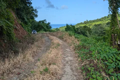 8094m² Land à La Plaine, Dominica No. 66235 4