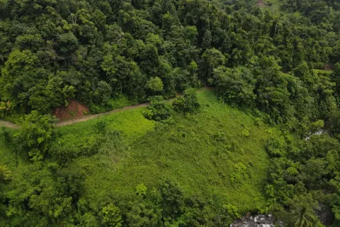 8094m² Land à La Plaine, Dominica No. 66235 3