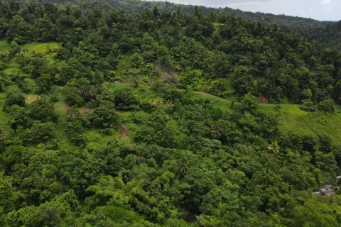 8094m² Land à La Plaine, Dominica No. 66235 30