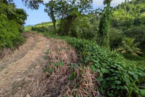 8094m² Land à La Plaine, Dominica No. 66235 23