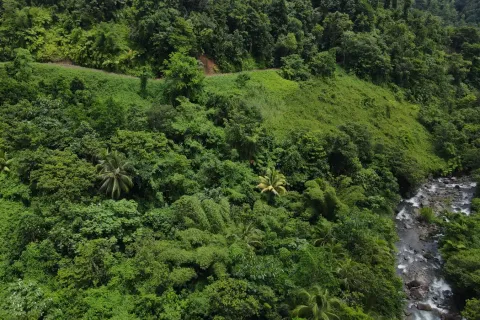 8094m² Land à La Plaine, Dominica No. 66235 13