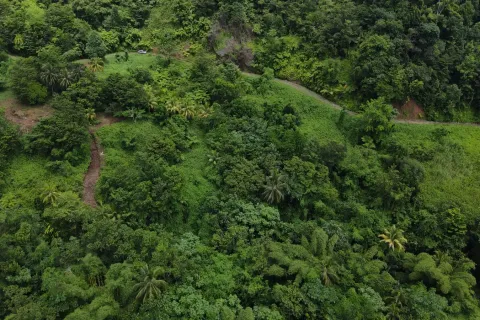 8094m² Land à La Plaine, Dominica No. 66235 28